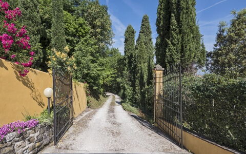 Villa Lucente: Blatt, Vegetation, Strauch, Garten, Landscaping, Auffahrt, Immergrün, Weg, Lärche