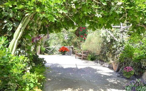 Villa Campanella: Blume, Vegetation, Strauch, Garten, Frühling, Floristik, Botanischer Garten, Walkway, Weg