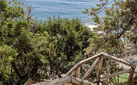 Vistamare: Holz, Geländer, Meer, Küste, Küsten Und Ozeanische Forms, Ozean, Treppe, Ufer, Zaun, Tropen