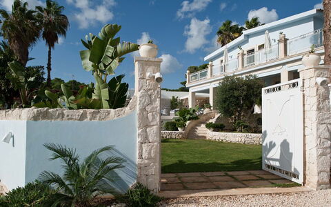 Villa Teresa: Estate, Schatten, Hazienda, Villa, Resort, Landscaping, Villa, Beton, Garten