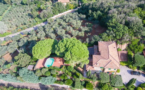 Villa Magazzini: Vegetation, Landschaft, Estate, Vogelperspektive, Luftaufnahmen, Vorort, Plantage, Landscaping