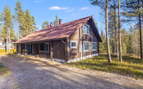 Marjarinne 8 a: Holz, Hütte, Blockhaus, Wald, Schuppen, Gartenbauten, Lärche, Wald, Holzbeize