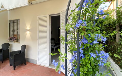 Casa Liliana Ac, Wifi, Forte Dei Marmi: Blumentopf, Zimmerpflanze, Schatten, Gartenmöbel, Stuhl, Home Door, Veranda, Tisch Im Freien, Balkon, Hof