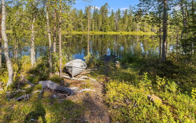 Kiehtäjän Kuohu