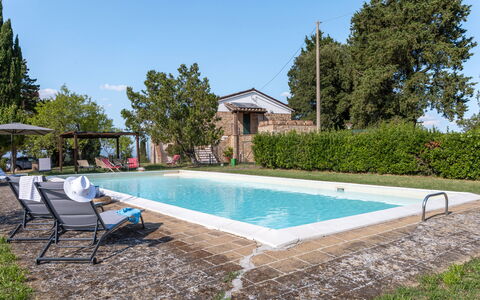 Poggio Padule: Schwimmbad, Gartenmöbel, Estate, Hinterhof, Garten, Hazienda, Schatten, Bauernhaus, Villa, Garten