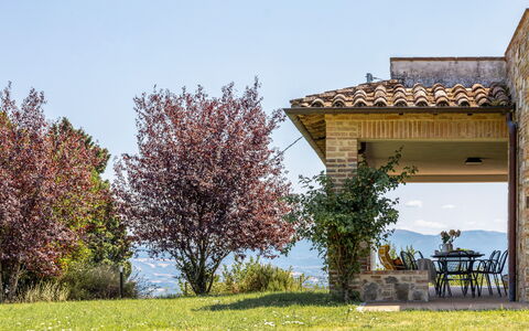 Il Pino Apartment: Natürliche Landschaft, Strauch, Hügel, Grundstueck, Wiese, Garten, Senke, Landscaping, Grat