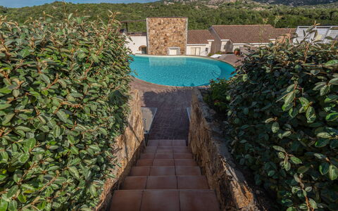 Baia Bianca Apartments Sardinia: Strauch, Garten, Steinwand, Hecke, Landscaping, Hinterhof