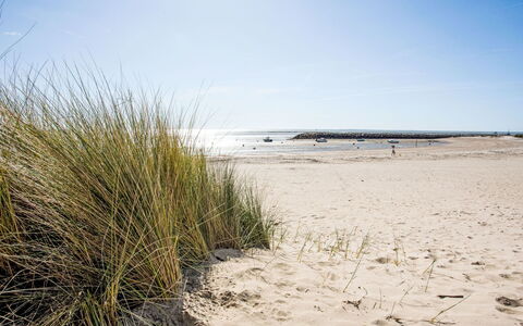 La Bernerie-En Retz 250: Natürlichen Umgebung, Strand, Küste, Sand, Küsten Und Ozeanische Forms, Ufer, Meer, Ökoregion, Ozean