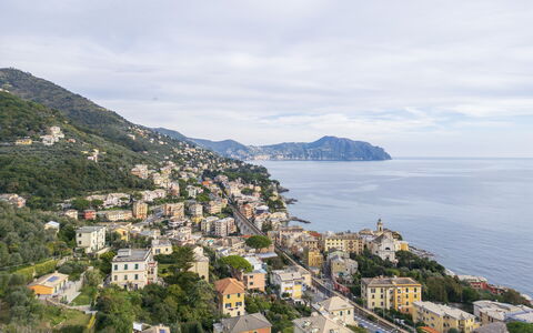 Casa Annalù With Garden, Wifi, Bogliasco: Bergforms, Küste, Wohngebiet, Stadt, Küsten Und Ozeanische Forms, Berg, Hügel, Meer, Menschliche Siedlung, Terrain