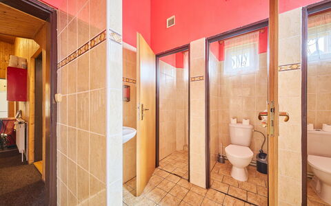 Švýcarský Dvůr Lodge: Wand, Flooring, Fussboden, Zimmer, Tür, Decke, Holzbeize, Fliese