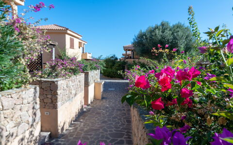 Golfo Aranci Apartments With Ac: Garten, Landscaping, Villa, Hazienda, Wild, Balkon, Botanischer Garten, Eco Hotel, Ferienort