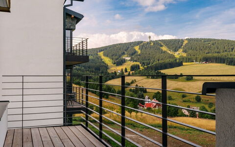 Loucna Pod Klínovcem 176: Geländer, Balkon, Wohnung, Hartholz, Treppe, Daylighting, Zaun, Villa