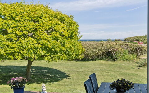 Sukie - 100M from the Sea: Vegetation, Strauch, Frühling, Hütte, Garten, Schatten, Hinterhof, Garten, Stuhl