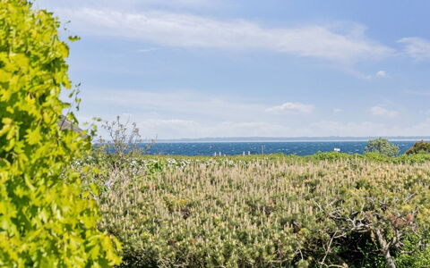Sukie - 100M from the Sea: Vegetation, Strauch, Frühling, Hütte, Garten, Schatten, Hinterhof, Garten, Stuhl