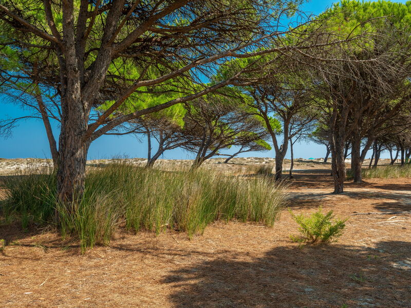 Budoni Homes Seaside, Ac And Bike