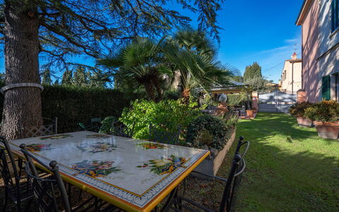 Ely Apartment In Villa, Wifi, Terricciola, Pisa: Strauch, Garten, Landscaping, Schatten, Garten, Hazienda, Blumentopf, Zimmerpflanze, Hinterhof