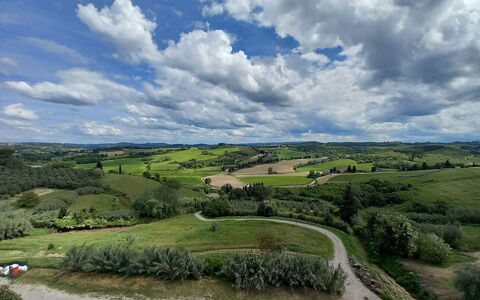 Ely Apartment In Villa, Wifi, Terricciola, Pisa: Himmel, Wolke, Natürliche Landschaft, Wiese, Horizont, Einfach, Ökoregion, Landschaft, Feld, Grundstueck