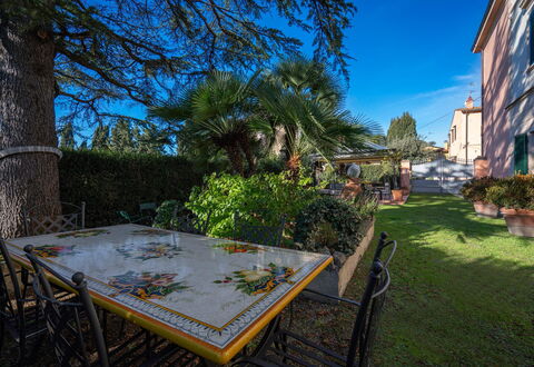 Ely Apartment In Villa, Wifi, Terricciola, Pisa: Strauch, Garten, Landscaping, Schatten, Garten, Hazienda, Blumentopf, Zimmerpflanze, Hinterhof