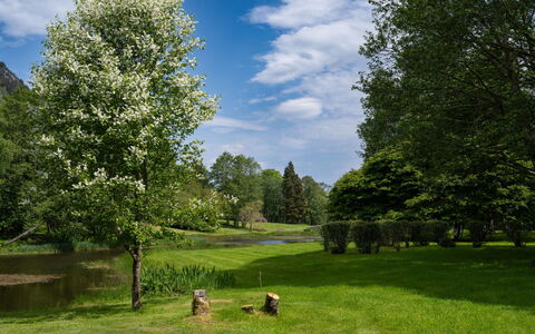Loch Ness Granary: Ast, Baum, Blatt, Natur, Vegetation, Strauch, Grundstueck, Frühling, Garten, Ground