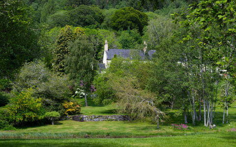 The Romantic Bothy: Baum, Blatt, Gras, Natur, Natürlichen Umgebung, Vegetation, Ast, Strauch, Natürliche Landschaft