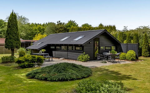 Reino - 30Km from the Sea: Dach, Haus, Zuhause, Hütte, Tür, Abstellgleis, Deck, Veranda, Planke, Hartholz