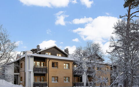 Lomariekko 6 a 2: Holz, Schnee, Winter, Hütte, Einfrieren, Zuhause, Blockhaus, Lärche, Abstellgleis