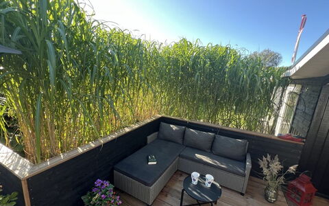 Ronja - 100M to the Fjord: Strauch, Garten, Zaun, Hinterhof, Deck, Garten, Hartholz, Landscaping, Blumentopf