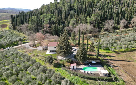 Il Cipresso: Strauch, Landschaft, Ländliches Gebiet, Pflanzengemeinschaft, Grundstueck, Estate, Bergstation, Wald, Hütte, Plantage