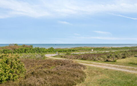 Suometar - 90M from the Sea: Gras, Wiese, Grundstueck, Hütte, Ländliches Gebiet, Wiese, Gartenbauten, Garten, Schuppen