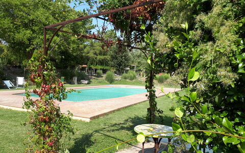 Appartamento La Torretta Di Pietra, Wifi, Perugia: Strauch, Garten, Schatten, Frühling, Hinterhof, Garten, Rasen, Landscaping, Blumentopf