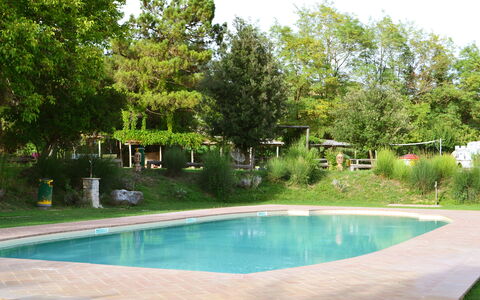 Appartamento Il Fienile Del Sole, Wifi, Perugia: Schwimmbad, Baum, Resort, Schatten, Garten, Gartenmöbel, Freizeit, Hinterhof, Landscaping, Water Feature
