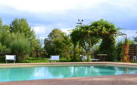 Appartamento Bellosguardo, Wifi, Near Perugia: Schwimmbad, Gartenmöbel, Resort, Garten, Schatten, Freizeit, Eco Hotel, Landscaping, Hinterhof