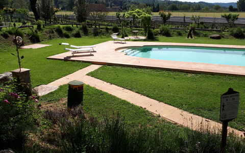 Appartamento Vele, Wifi, Near Perugia: Garten, Schwimmbad, Gartenmöbel, Rasen, Schatten, Hinterhof, Landscaping, Freizeit, Park, Water Feature