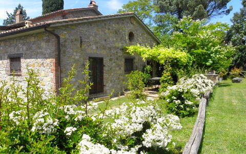 Appartamento Poggiolo, Wifi, Near Perugia: Strauch, Garten, Hütte, Frühling, Ground, Landscaping, Hinterhof, Garten, Bauernhaus