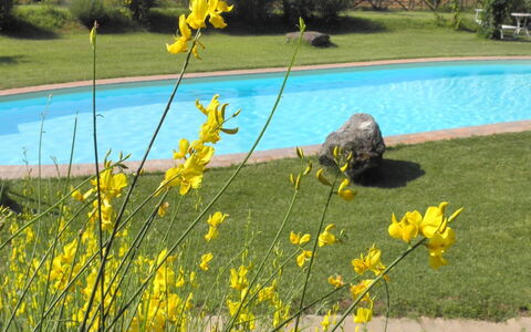 Appartamento Rustico, Wifi, Perugia: Gelb, Frühling, Garten, Rasen, Landscaping, Garten, Park, Wild, Botanischer Garten