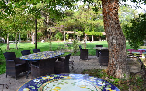 Appartamento Rustico, Wifi, Perugia: Möbel, Tabelle, Gartenmöbel, Stuhl, Garten, Tisch Im Freien, Schatten, Rasen, Frühling, Hinterhof