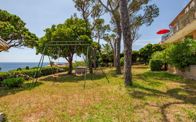 Anthéor 651: Vegetation, Strauch, Pflanzengemeinschaft, Schatten, Meer, Ozean, Garten, Küste, Rasen, Tropen