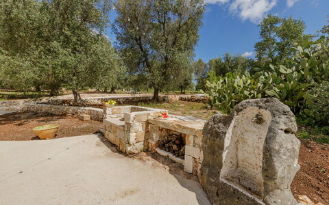 Trullo Quattro Carrini: Baum, Kofferraum, Gehölz, Garten, Boden, Landscaping, Schatten
