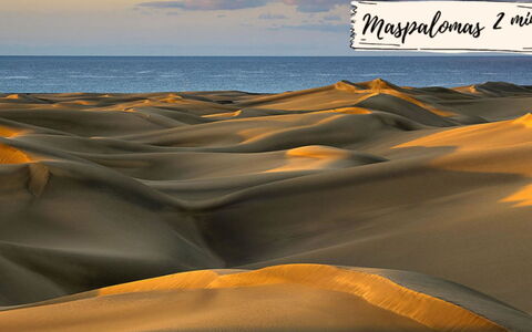 Oasis Serenity: Natürlichen Umgebung, Sand, Landschaft, Horizont, Terrain