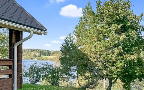 Luppo: Baum, Hütte, Lärche, Immergrün, Pine Familie, Abstellgleis