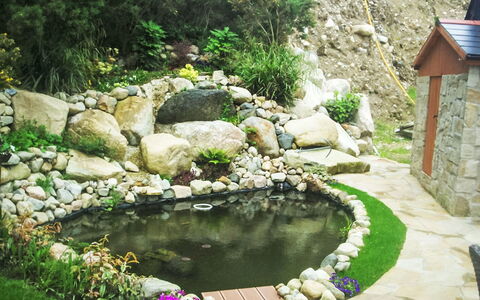 Eagle Nest: \Fels, Garten, Water Feature, Hinterhof, Landscaping, Teich, Flagstone, Garten, Fischteich