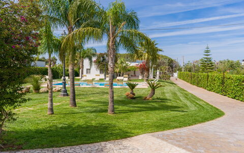 Ville Poggioreale: Baum, Garten, Strauch, Rasen, Gehölz, Landscaping, Schatten, Hazienda