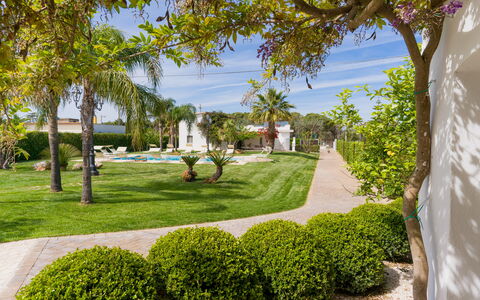 Ville Poggioreale: Blau, Baum, Garten, Strauch, Landschaft, Rasen, Schatten, Landscaping, Garten