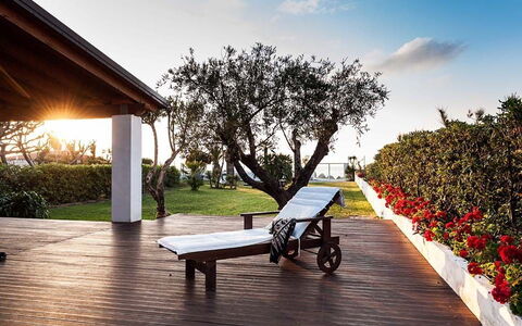 Cala Marina: Schatten, Garten, Rasen, Landscaping, Garten, Gartenmöbel, Outdoor Struktur, Eco Hotel, Hinterhof, Villa