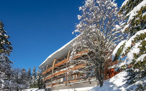 V du Bachat Arolles a: Winter, Einfrieren, Schnee, Balkon, Lärche, Pine Familie