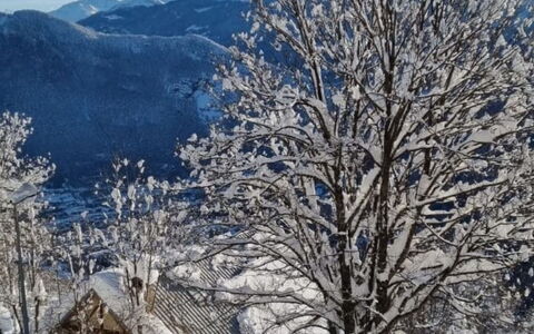 T du Morel a: Schnee, Ast, Winter, Baum, Zweig, Einfrieren, Bergstation, Gebirge, Frost, Steigung