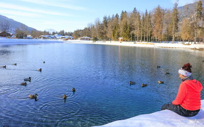 Morillon 642