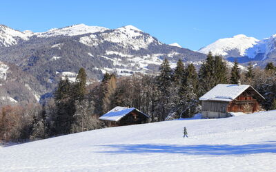 Morillon 642