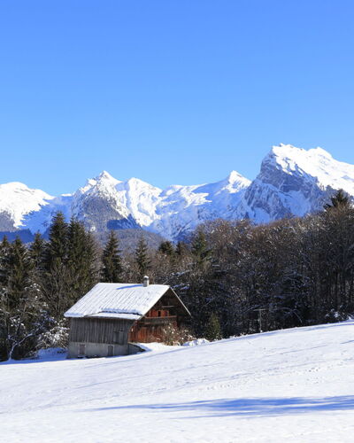 Morillon 642