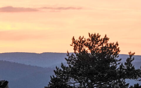Knodden: Himmel, Ast, Baum, Natur, Blatt, Dämmerung, Afterglow, Atmosphärisches Phänomen, Sonnenuntergang, Natürliche Landschaft